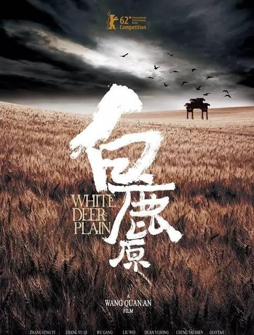 九州大学公共管理文凭证书